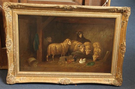 D* Newby (19th century), oil on canvas, sheep in barn interiors with chickens and ducks, a pair, signed 40 x 67cm